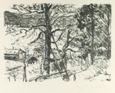 12  LOVIS CORINTH - Frhling am Walchensee <br> Lithographie, signiert, Mller 569/II, 320 x 430 mm, 1920/1921 <br><br> 12a Lithographie, Probedruck auf Japan, signiert