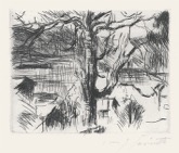 15  LOVIS CORINTH - Baum am Walchensee <br> Radierung, signiert, Mller 699, 140 x 175 mm, 1923