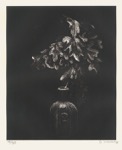 60  GERHARD MARCKS - Eichenzweig in Medizinflasche <br> Lithographie, signiert, numeriert, Lammek L 79, 251 x 204 mm, 1972