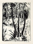 31. Lithographie, signiert, handschriftlich numeriert: (OM Nr.) 13, 
Karsch 73, 433 x 326 mm um 1919<br><br>Einer der 3 bekannten Abzge. Das im Werkverzeichnis abgebildete Exemplar aus dem 
Archiv des Knstlers.